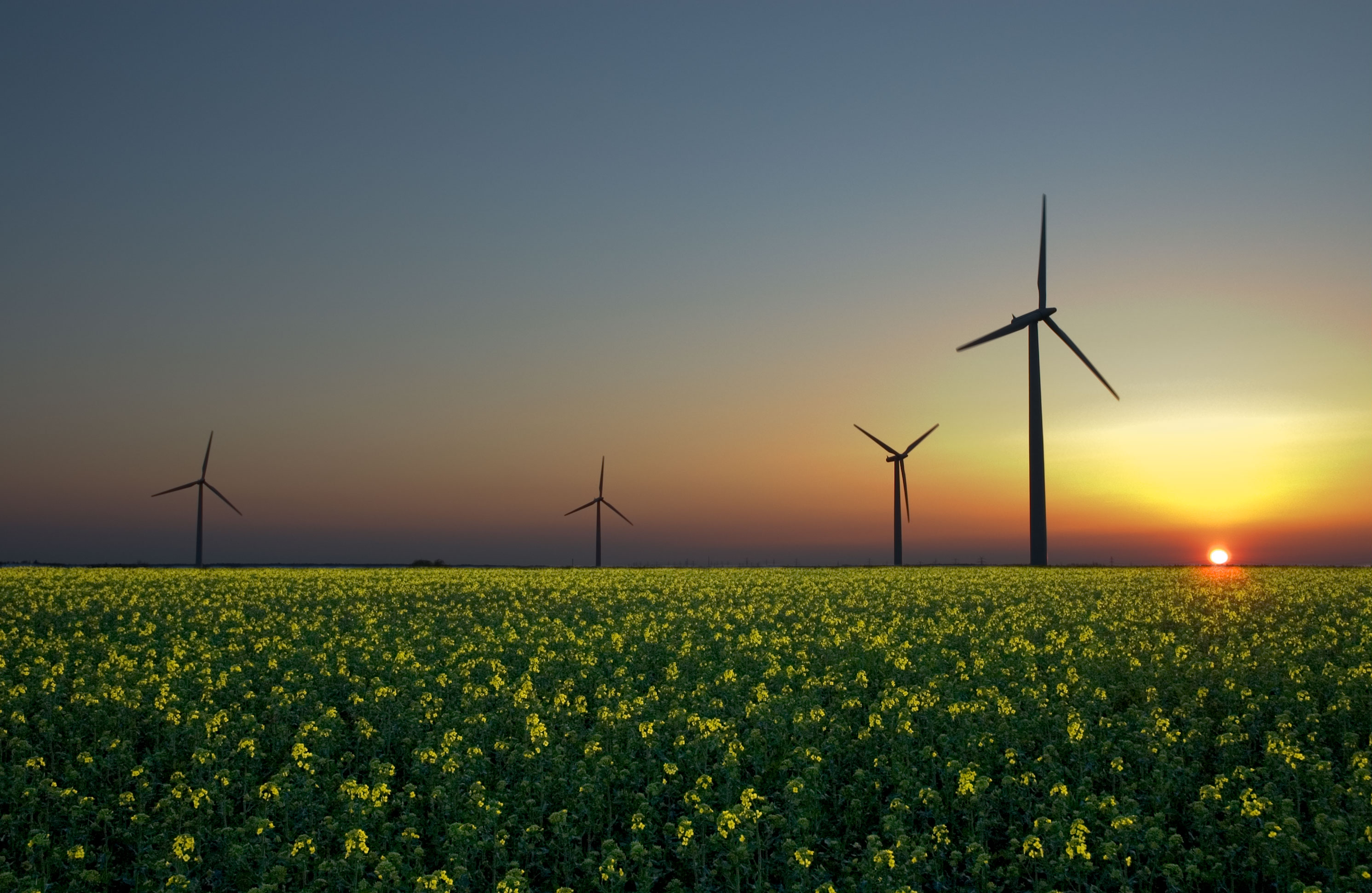 The Energy Debate Renewable Energy Cannot Replace Fossil Fuels 