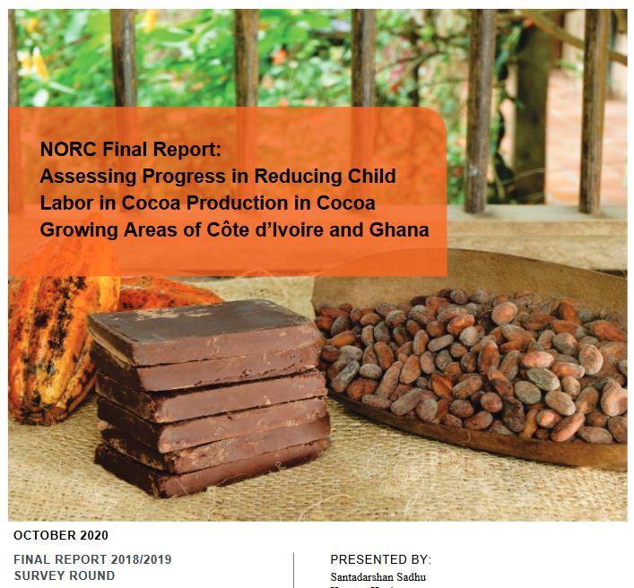 NORC report cover