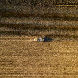 farming in Hungary