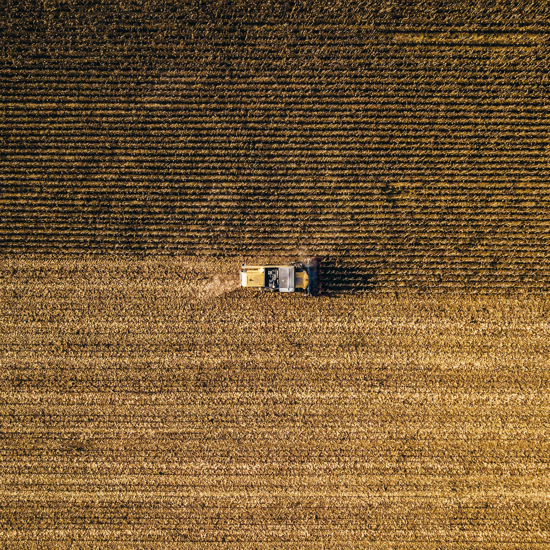 farming in Hungary