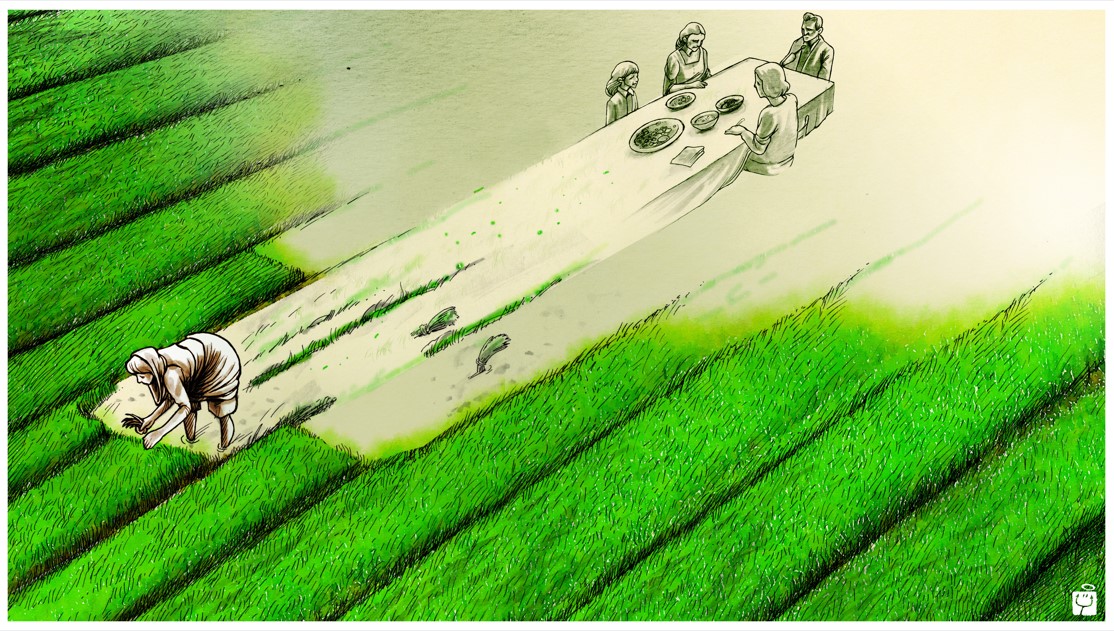 5 Cartoons on World Food Day - DevelopmentEducation.ie
