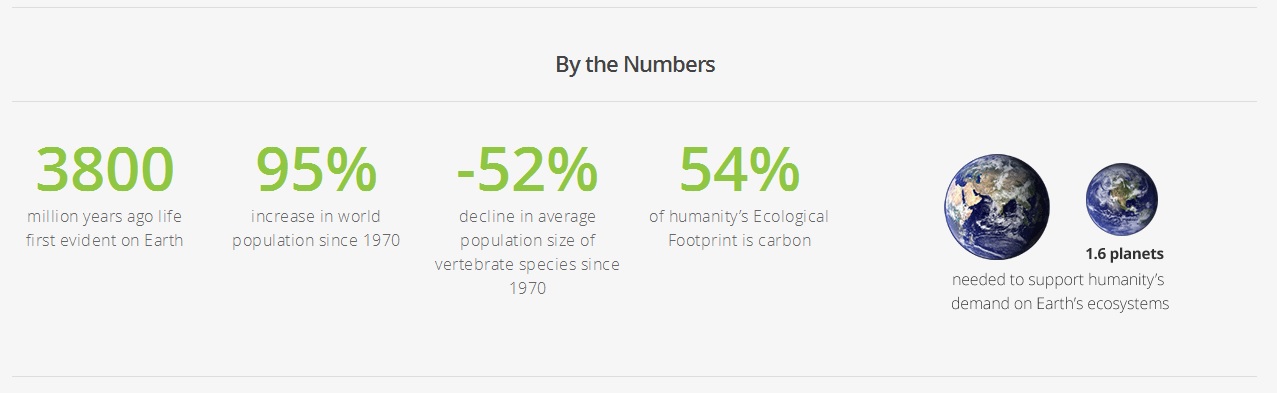 Infographic 2: sourced on the Overshoot Day website (2015): https://www.overshootday.org